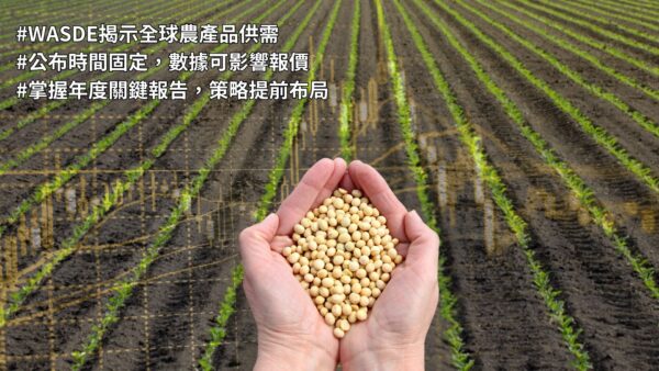 認識WASDE報告及公布時間